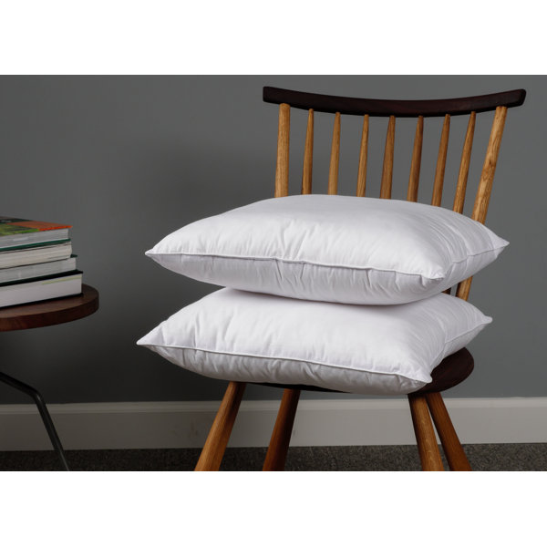 Wayfair Basics® Didomenico Euro Square Pillow Insert Wayfair